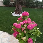 Villa House Anja Buje